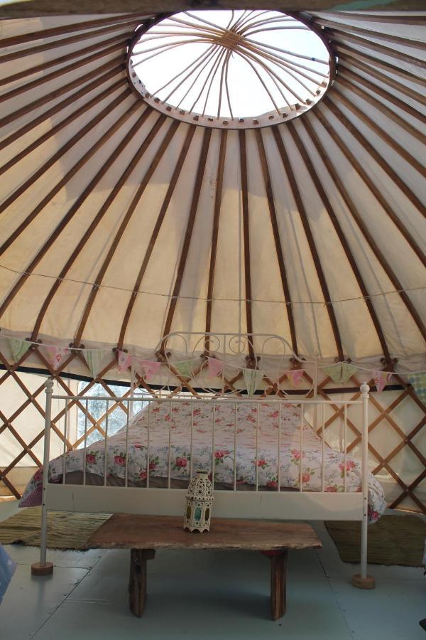 Mill Haven Place Glamping Yurt 3 Гейверфордвест Екстер'єр фото